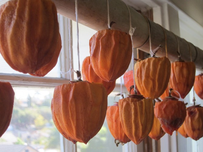 Dried Persimmons