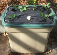 Self Watering Containers | Root Simple