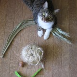 homemade cat scratcher