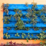 Vertical Garden Success! | Root Simple