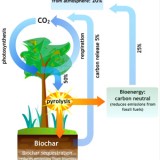 The Biochar Solution | Root Simple