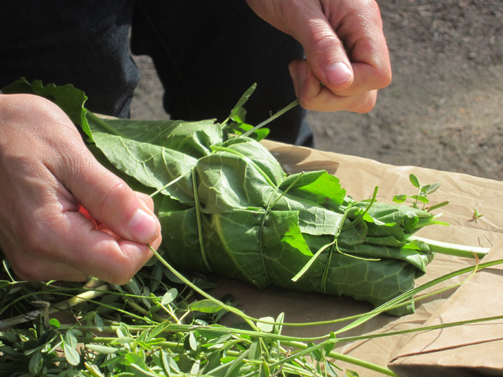 Campfire Cooking: Fish In Clay (& Vegetarian Options!) | Root Simple