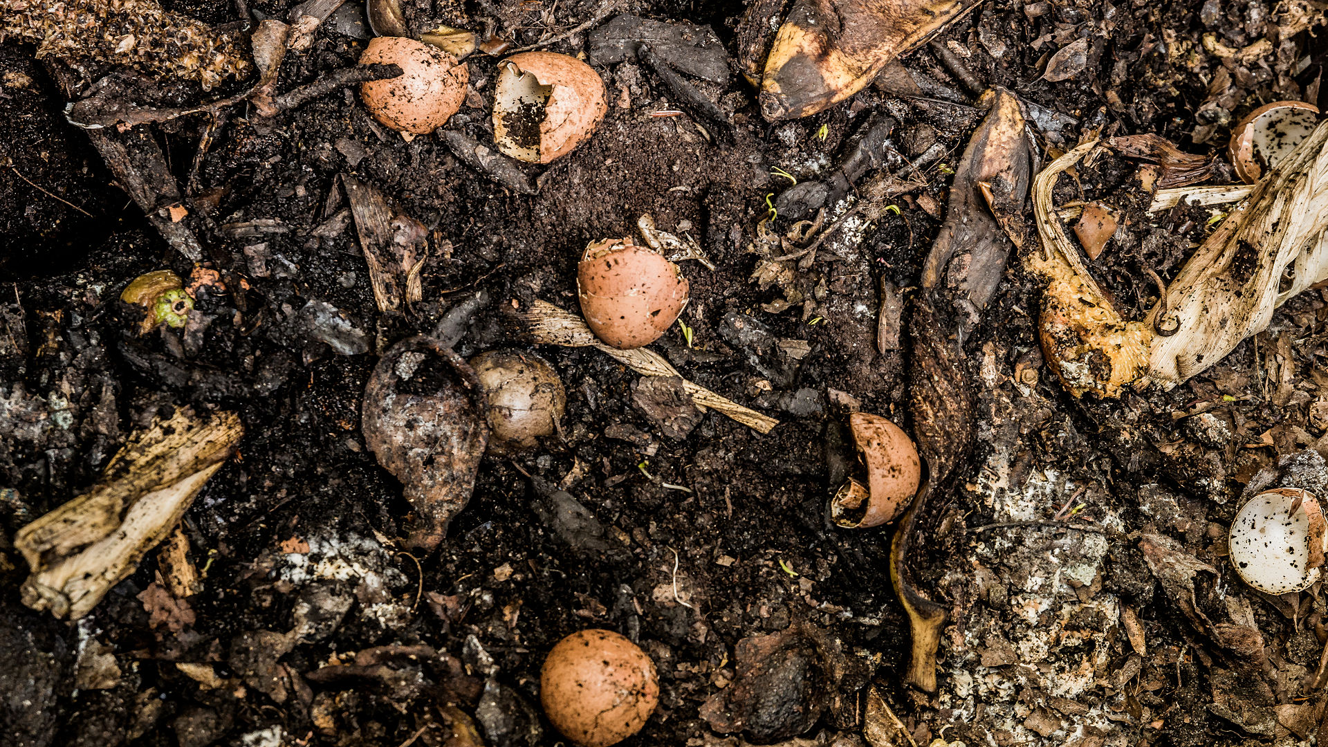 Matching Your Waste Stream To Your Composting Method Root Simple