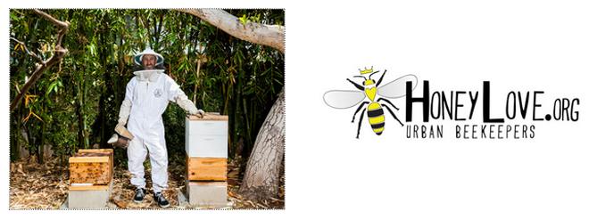 Urban Beekeeping 101 With Paul Hekimian, Director Of HoneyLove | Root ...